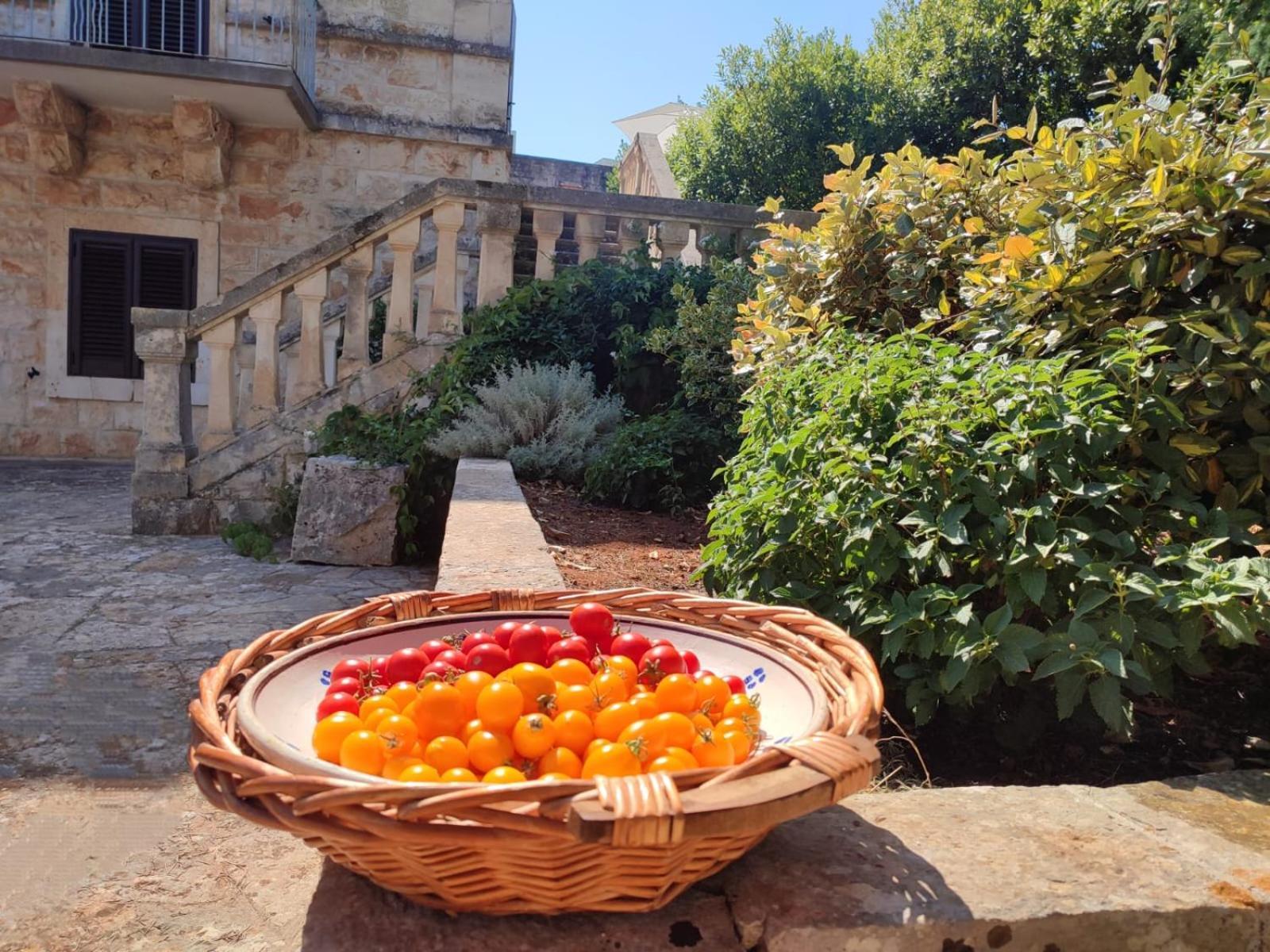 Villa Ostuni Monopoli Buitenkant foto
