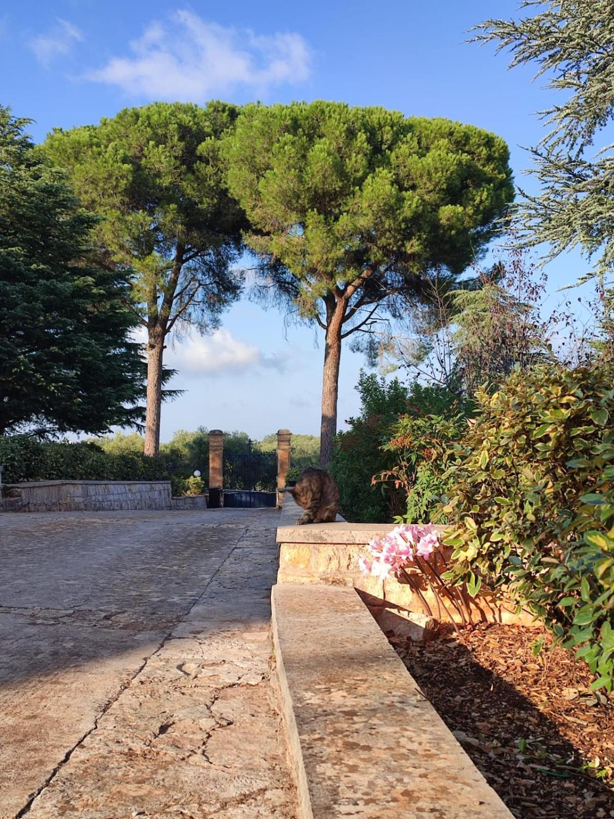 Villa Ostuni Monopoli Buitenkant foto